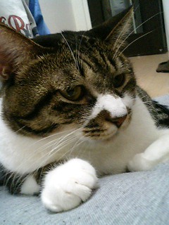 ���e���鎞