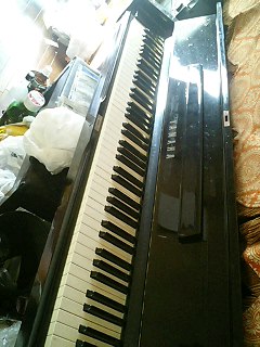 ���N�Ԃ肾�납�c