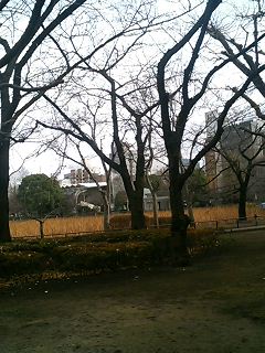 �C���炵��