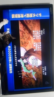 �\�ɂ͕����Ă���