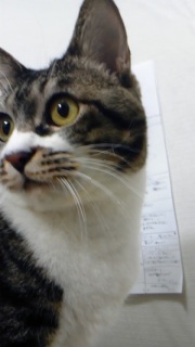 �݂���ł���