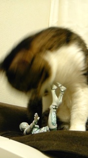 ���͂��I�I