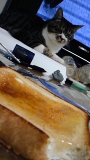 �n�j�g�[��H��ӁB