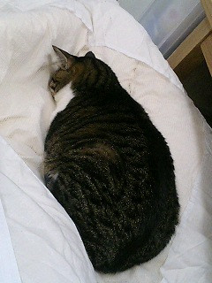 ���߂܂��āK�ցK