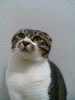 �l�[�����I������B