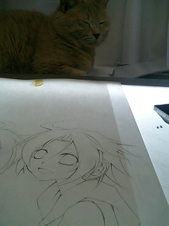 ���܂˂��c