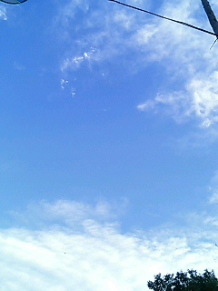 �����ꂻ��������