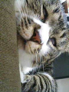 �܂��������̎q�́c