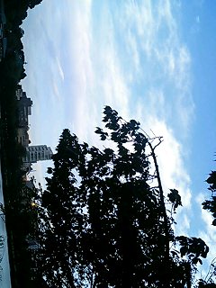 �Γc(���́�)