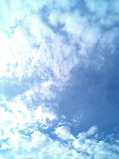 �������낻��c